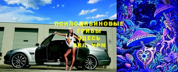мдпв Алексин