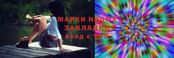 мдпв Алексин