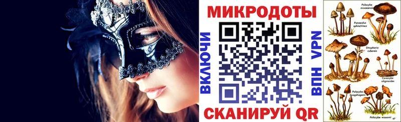 МЕГА как зайти Буй Псилоцибиновые грибы прущие грибы