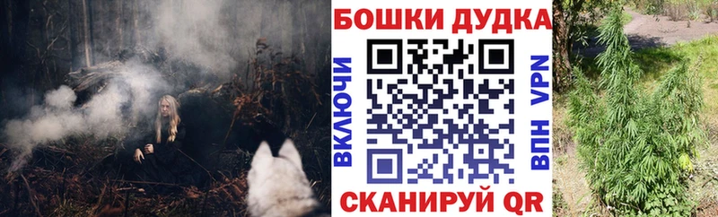 Бошки марихуана OG Kush наркотики даркнет наркотические препараты Буй